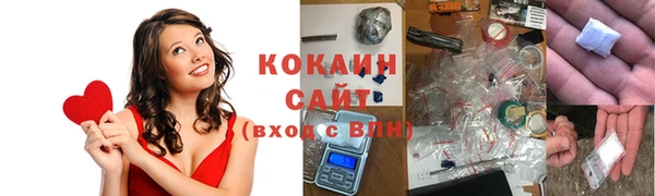 стафф Арсеньев