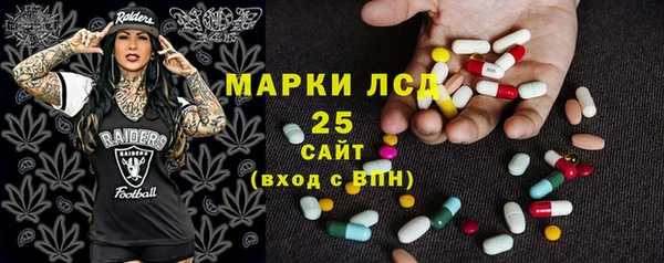 стафф Арсеньев