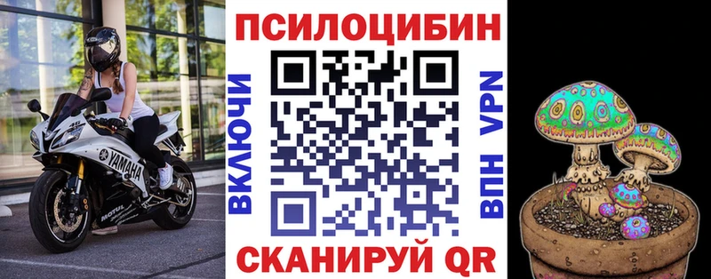 Псилоцибиновые грибы Cubensis  Сусуман 