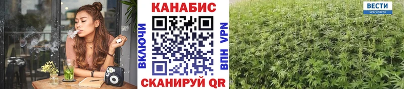 Шишки марихуана SATIVA & INDICA  цены наркотик  Сусуман 